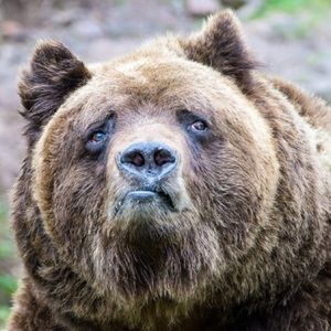 Meet your Posher, Sriram